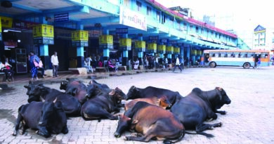 ಖಾಸಗಿ ಬಸ್ ಮುಷ್ಕರ ಪೂರ್ಣ: ಸಂಕಷ್ಟಕ್ಕೀಡಾದ ಪ್ರಯಾಣಿಕರು