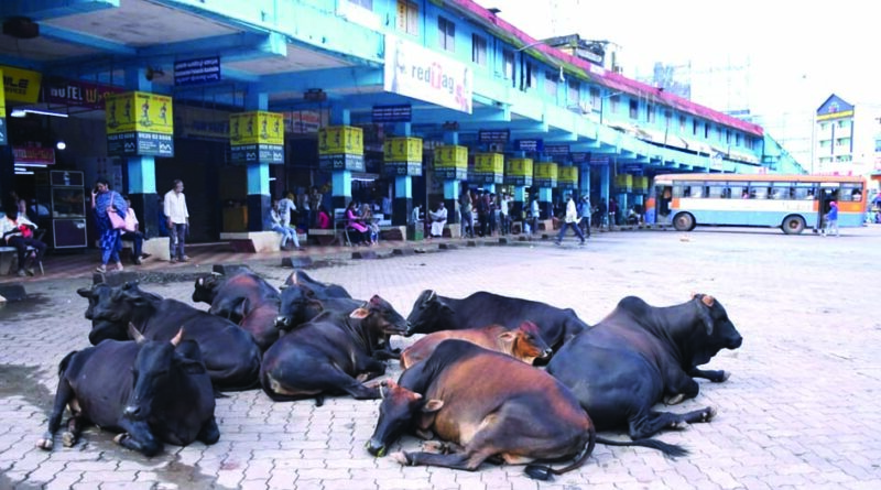 ಖಾಸಗಿ ಬಸ್ ಮುಷ್ಕರ ಪೂರ್ಣ: ಸಂಕಷ್ಟಕ್ಕೀಡಾದ ಪ್ರಯಾಣಿಕರು